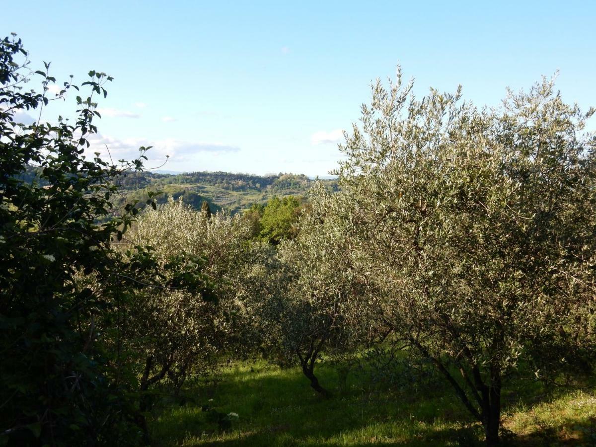 Agriturismo Anna-Rosa Legoli Экстерьер фото
